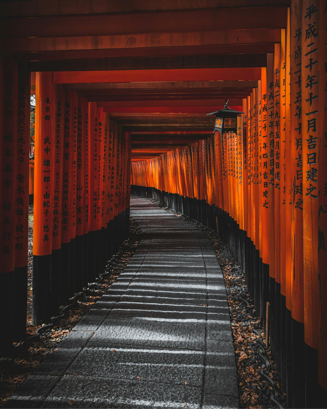 Japan Cover Letter