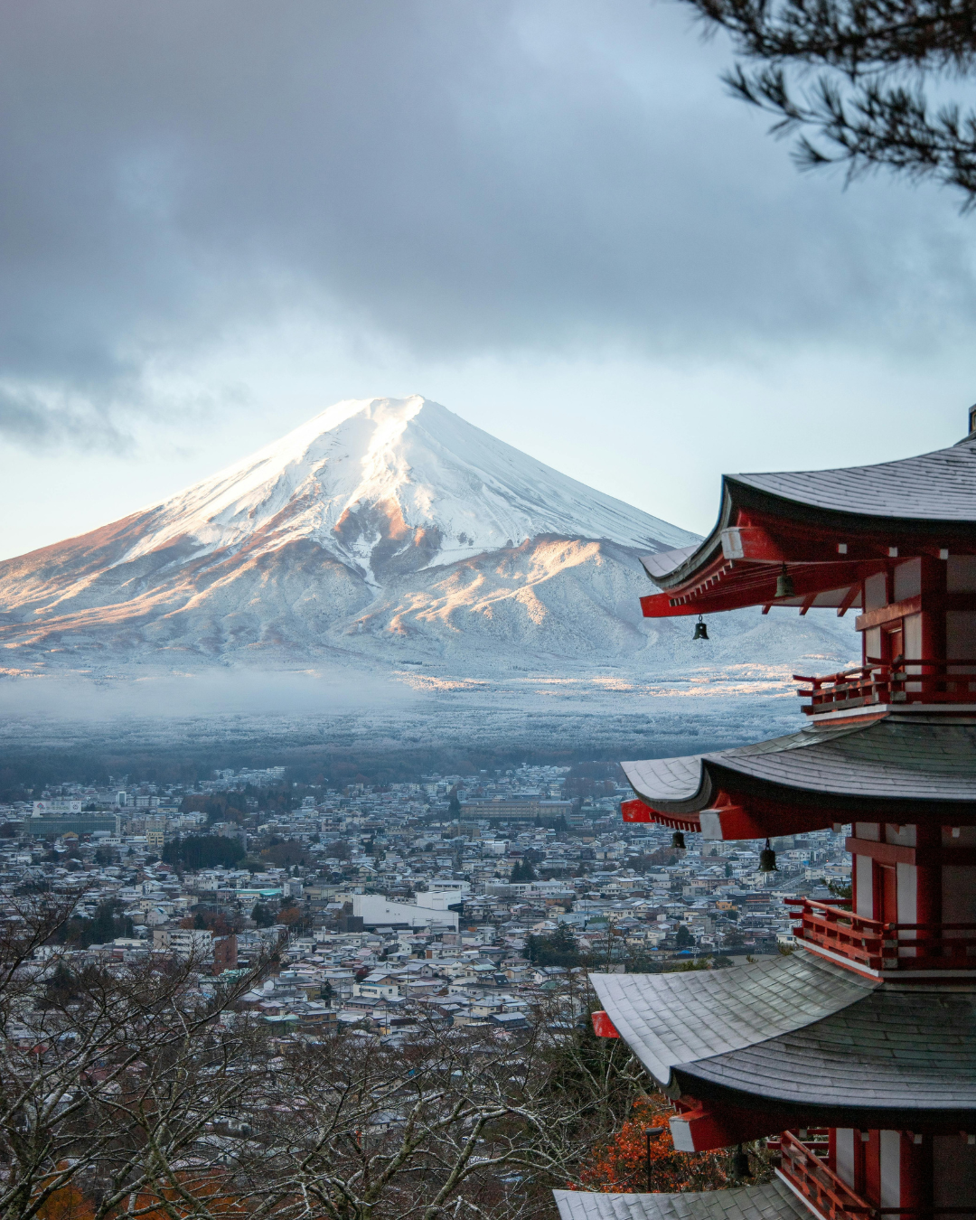 Japan Cover Letter